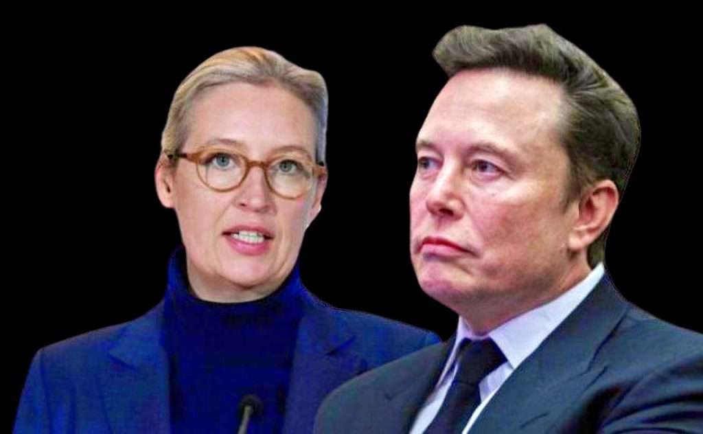 Musk e Weidel