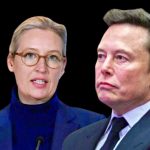 Musk e Weidel