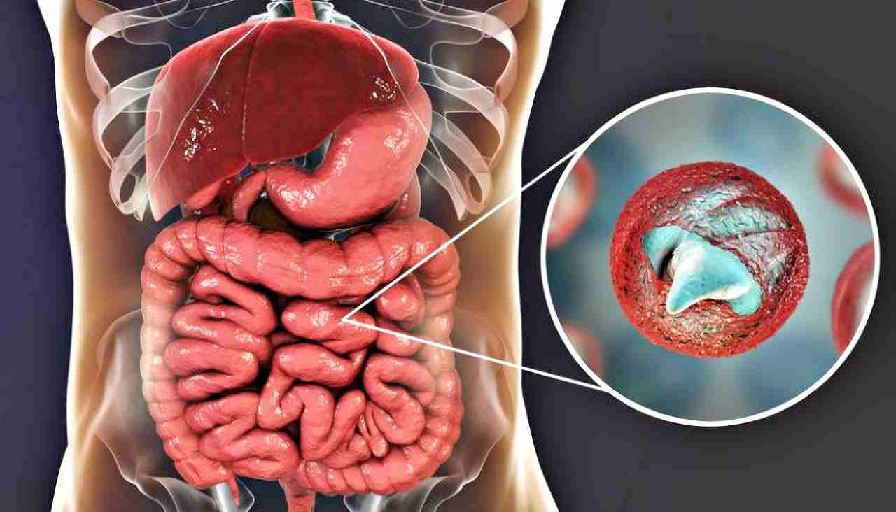 Nuovo trattamento promette di eliminare le infezioni da vermi intestinali