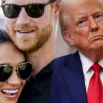 Principe Harry, Meghan Markle e Donald Trump2